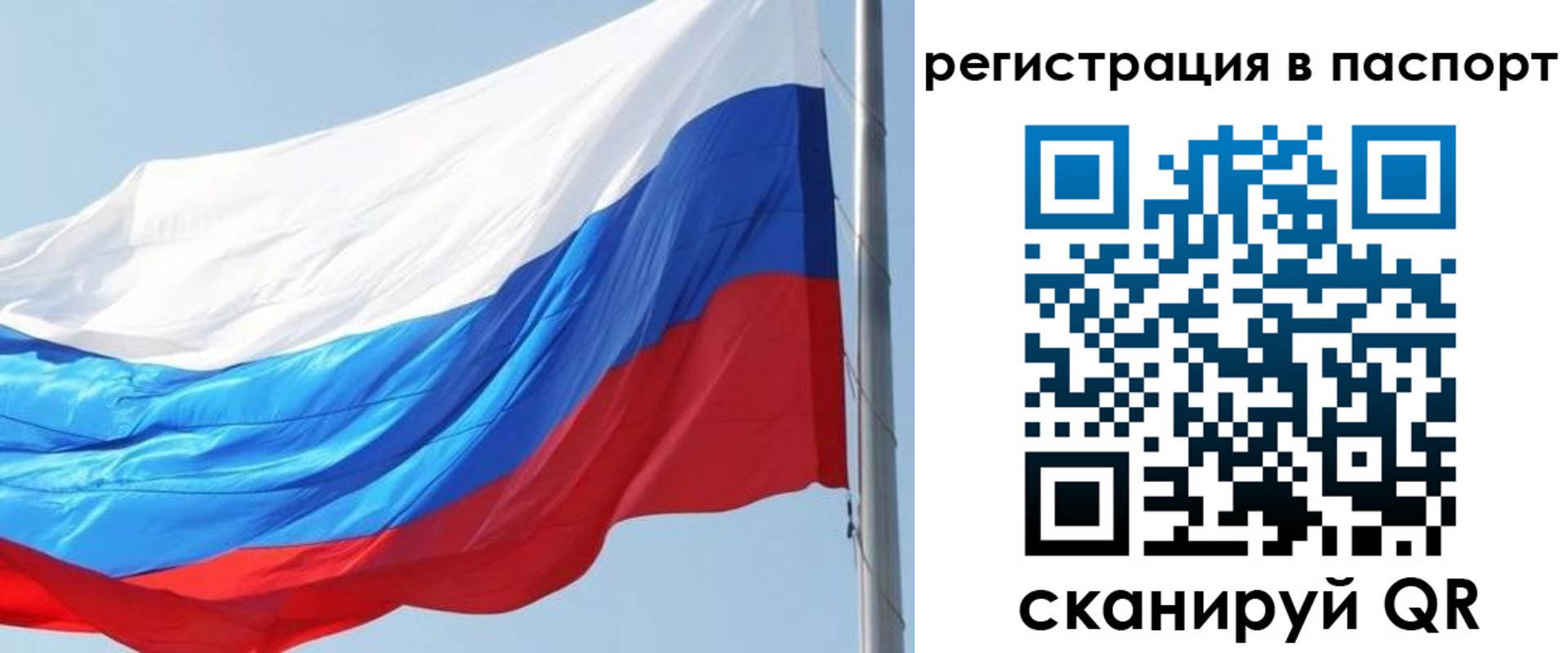 прописка законно в Сланцах