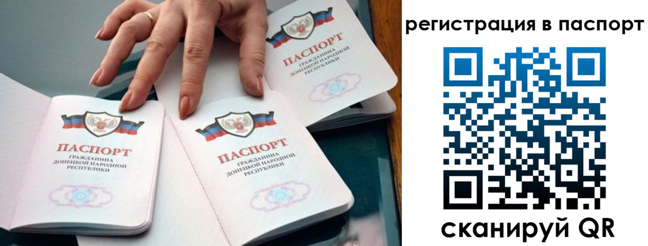 прописка для школы в Сланцах